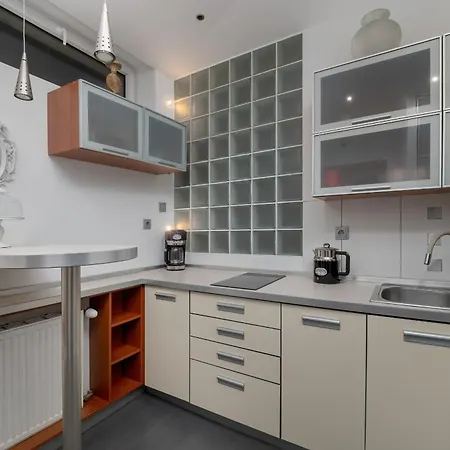 Apartment Spacious In The Center Of By Renters Lodz